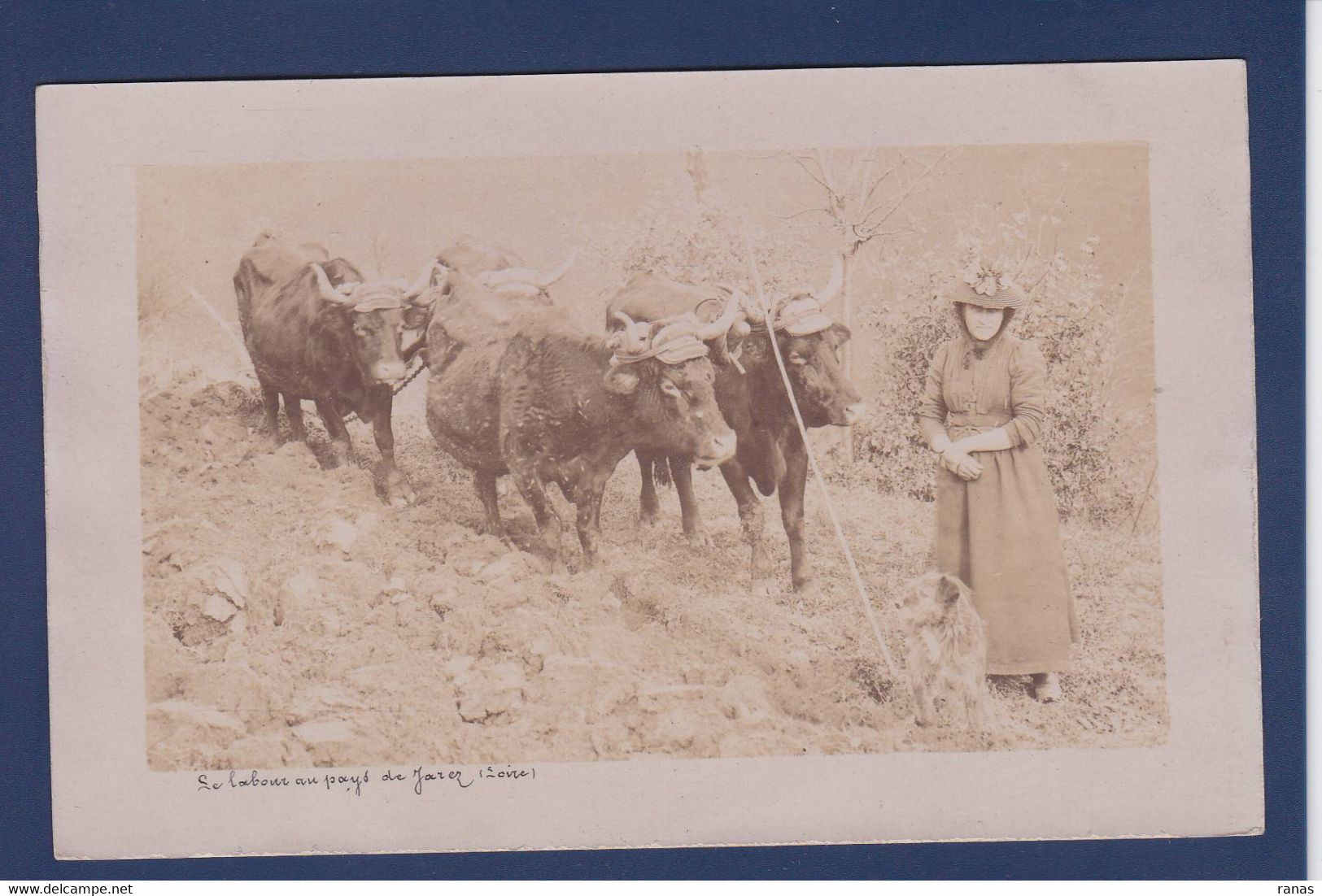 CPA [42] Loire > Carte Photo Non Circulé Jarez Métier - Sonstige & Ohne Zuordnung