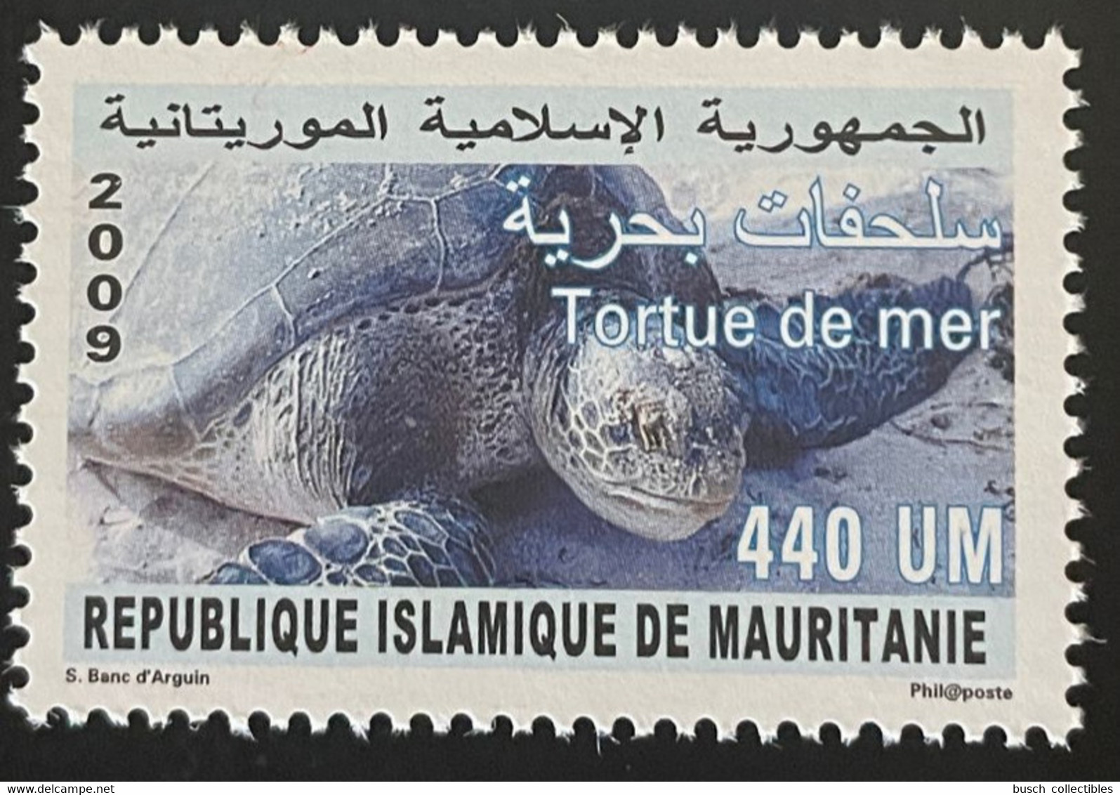 Mauritanie Mauretanien Mauritania 2009 Mi. 1181 Tortue De Mer Turtle Schilkröte Faune Marine Fauna MNH ** - Tartarughe