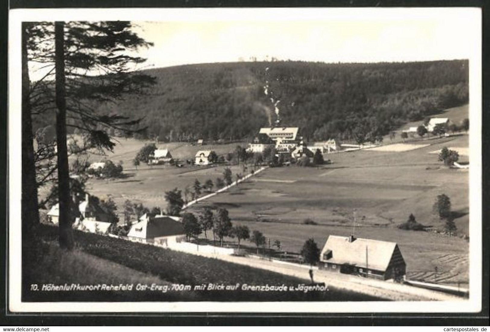 AK Rehefeld I. Erzg., Blick Auf Grenzbaude Und Jägerhof - Rehefeld