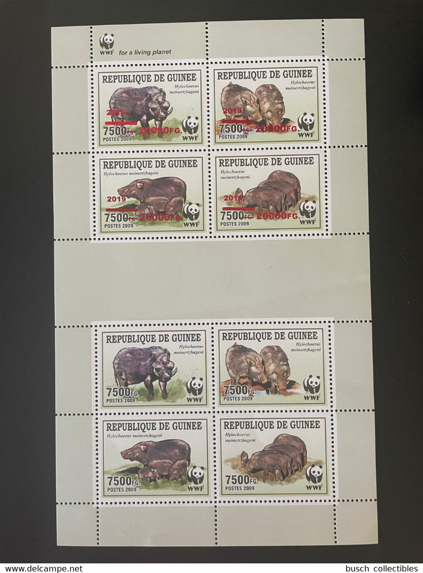 Guinée Guinea 2009/2019 ERROR DISPLACED OVERPRINT Faune Fauna Birds Hylochère Panda WWF MNH** RARE - Unused Stamps