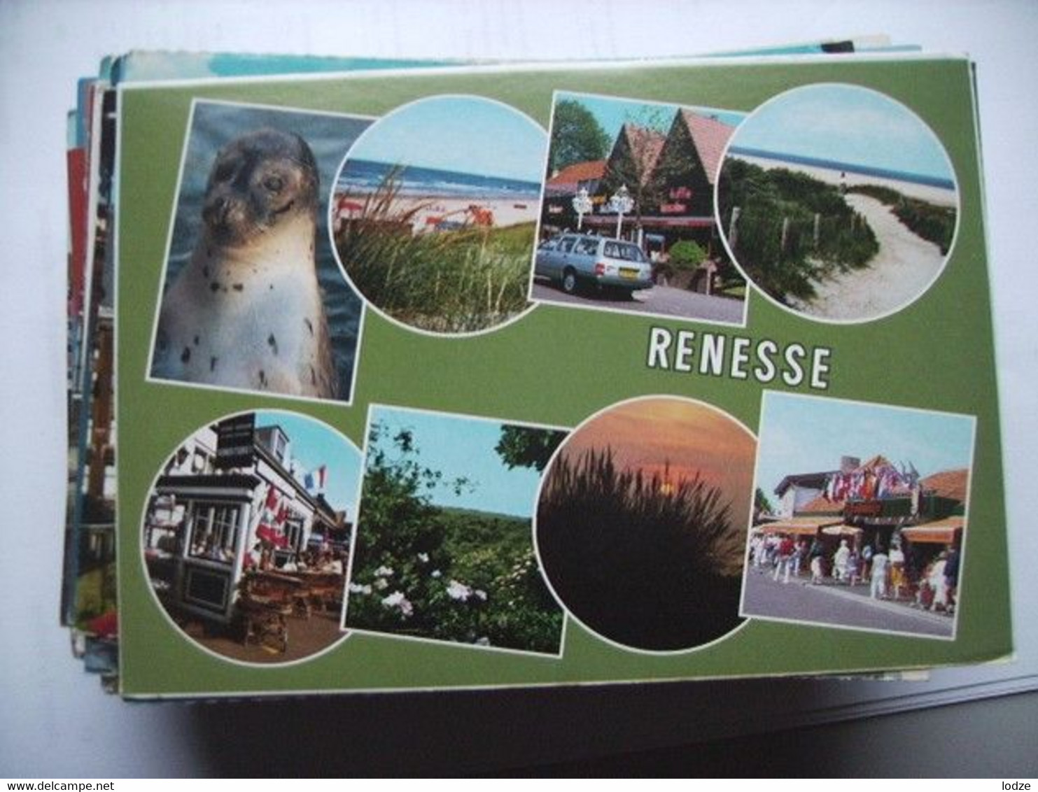 Nederland Holland Pays Bas Renesse In Het Groen Leuk - Renesse