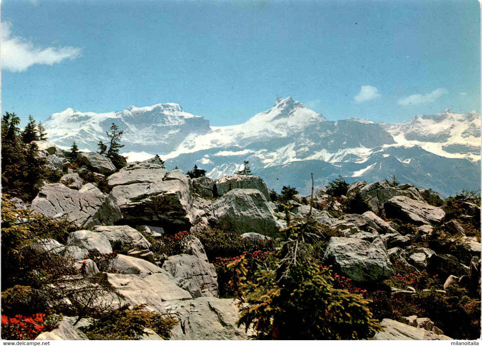 Am Höhenweg Zum Klausenpass (ob Spiringen) (203) - Spiringen