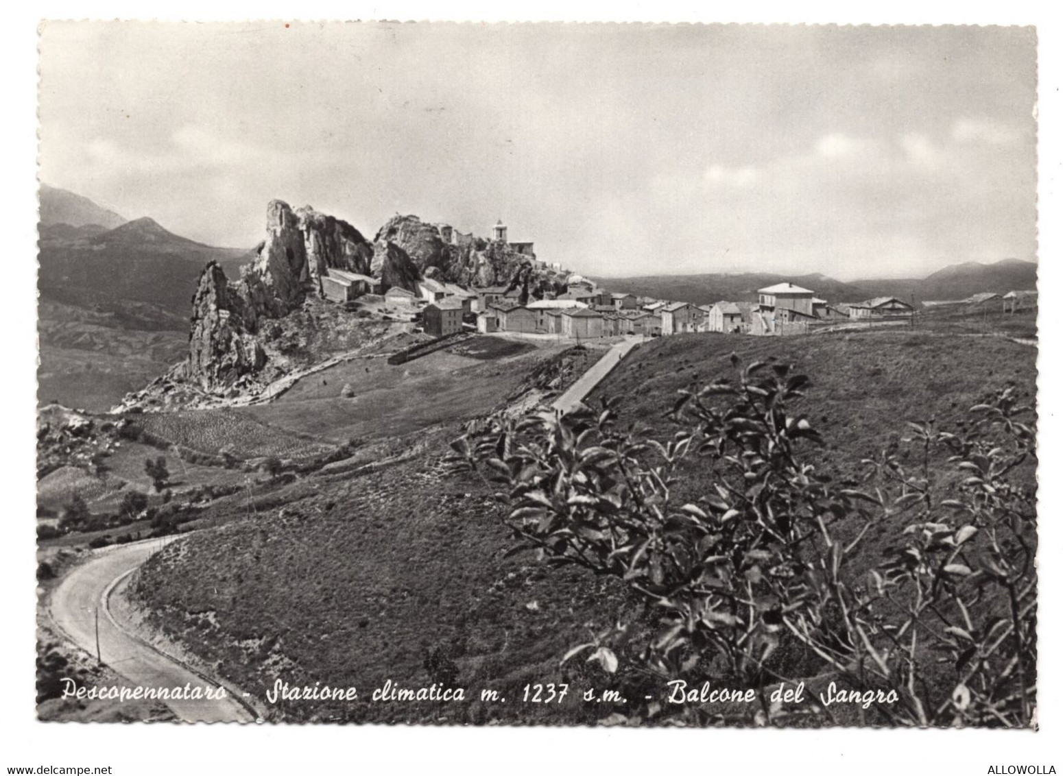 12963 " PESCOPENNATARO-STAZIONE CLIMATICA M. 1237 S.m.-BALCONE DEL SANGRO" PANORAMA-VERA FOTO-CARTOLINA SPEDITA 1964 - Isernia