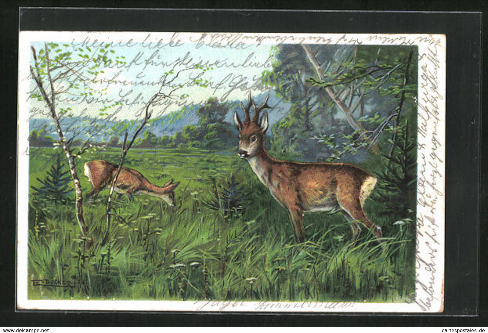 Künstler-AK E. Döcker: Rehe Auf Der Futtersuche - Doecker, E.