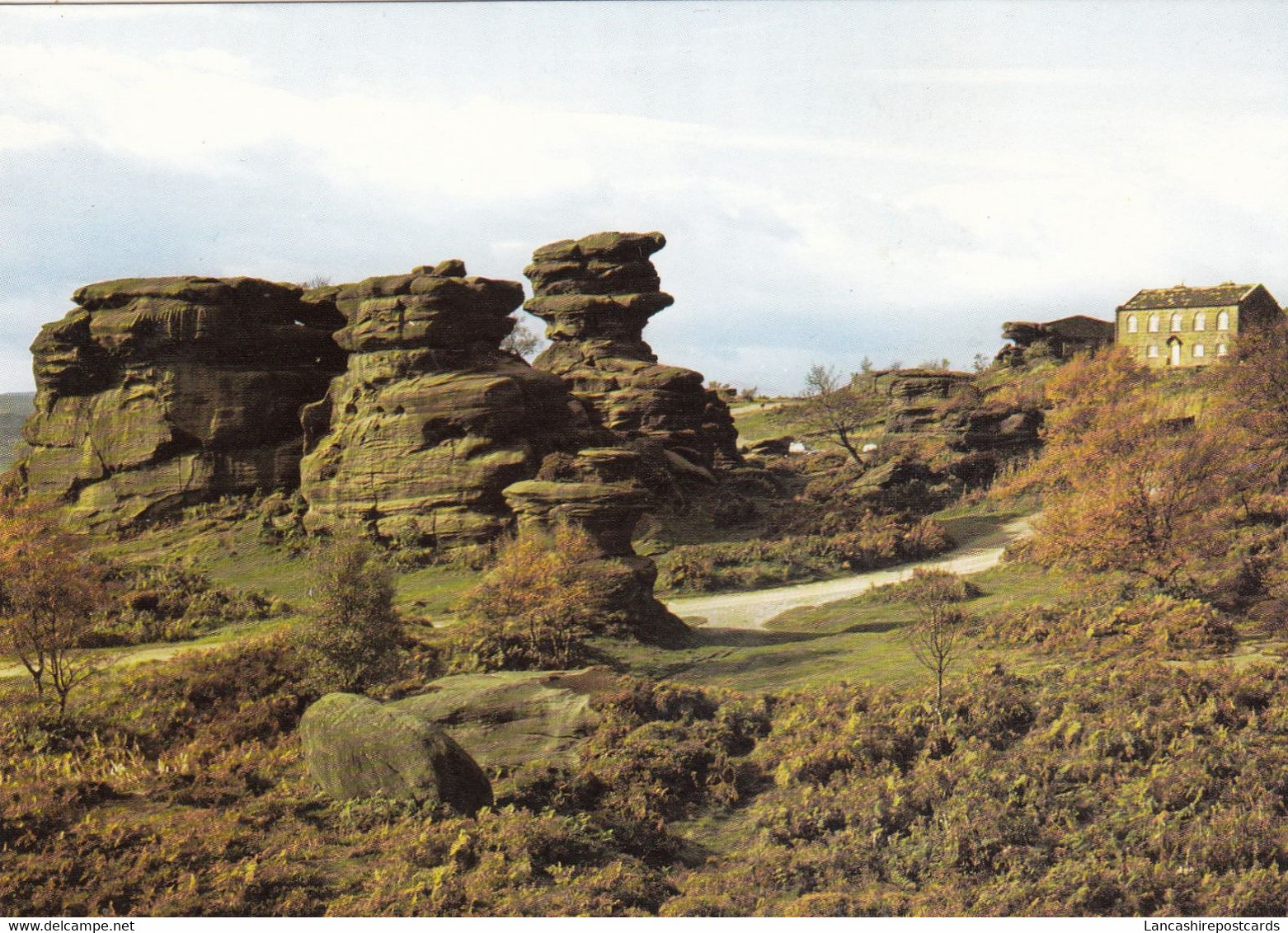 Postcard Brimham Rocks Nr Harrogate My Ref B24931 - Harrogate