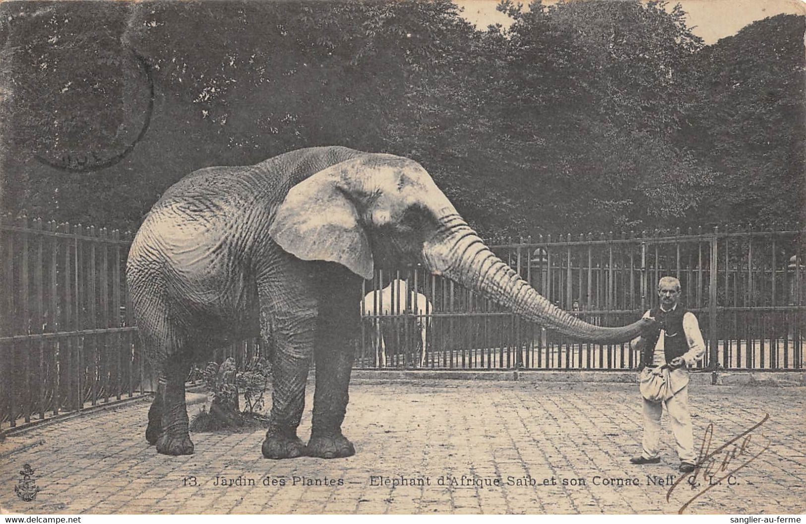 CPA 75 PARIS JARDIN DES PLANTES SAID L'ELEPHANT D'AFRIQUE SAID ET SON CORNAC - Other & Unclassified