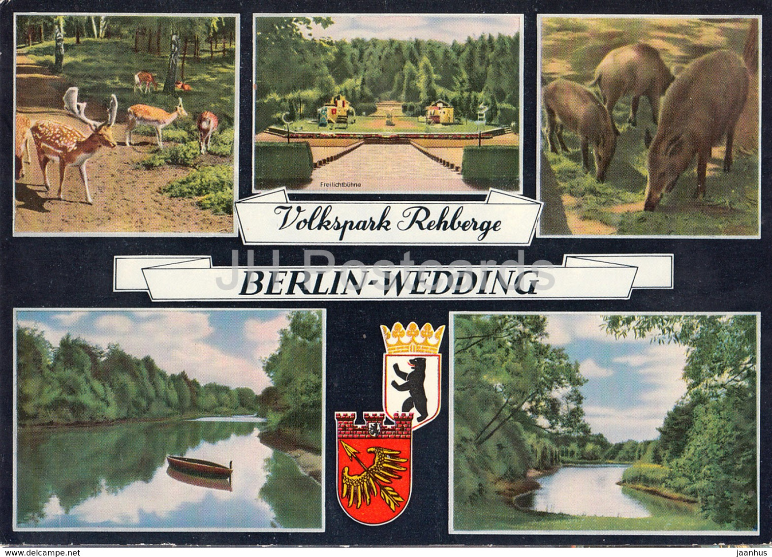 Berlin - Volkspark Rehberge - Berlin Wedding - Deer - Freilichtbuhne - Animals - Germany - Unused - Wedding