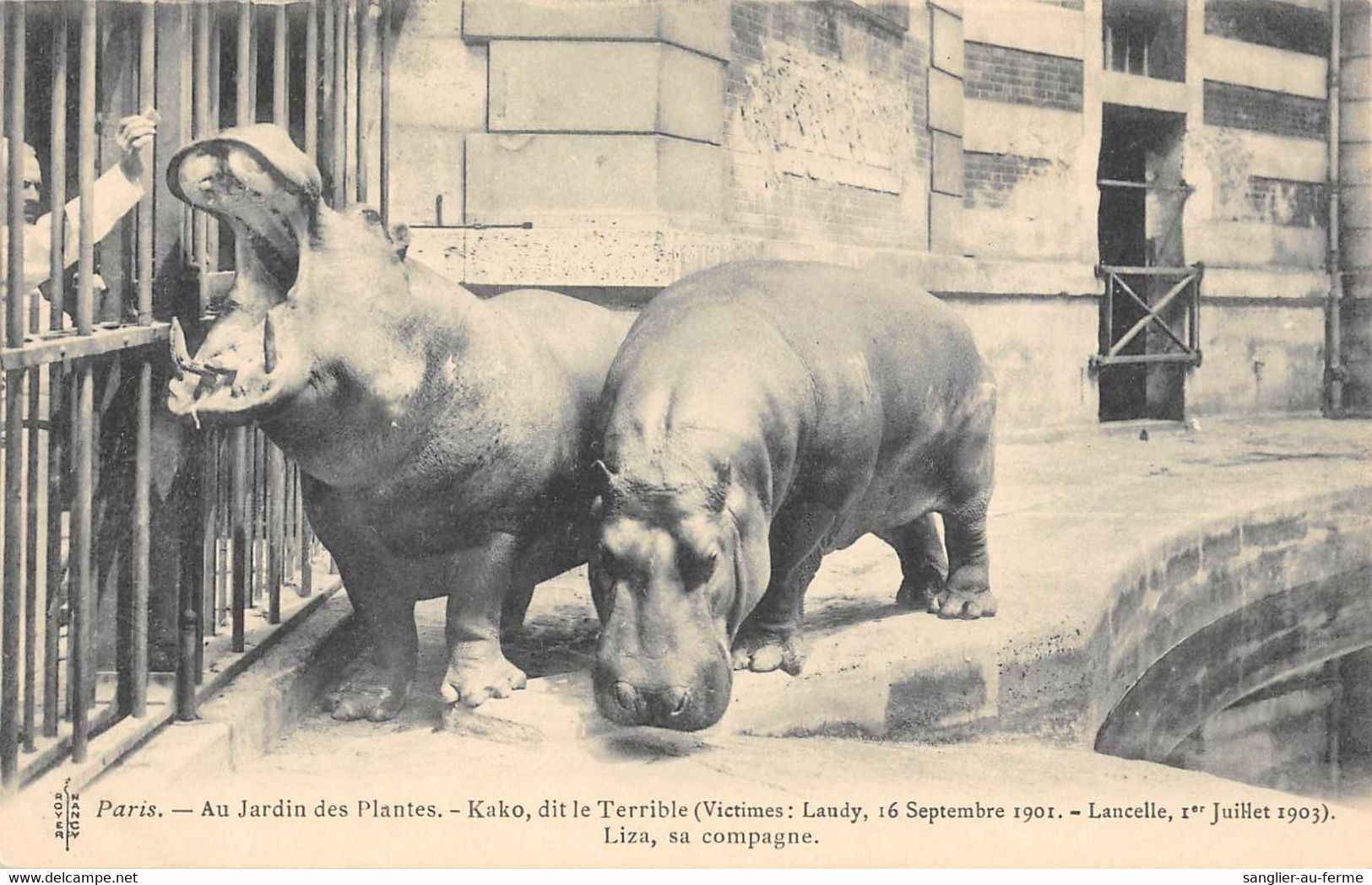 CPA 75 PARIS AU JARDIN DES PLANTES KAKO DIT LE TERRIBLE - Altri & Non Classificati