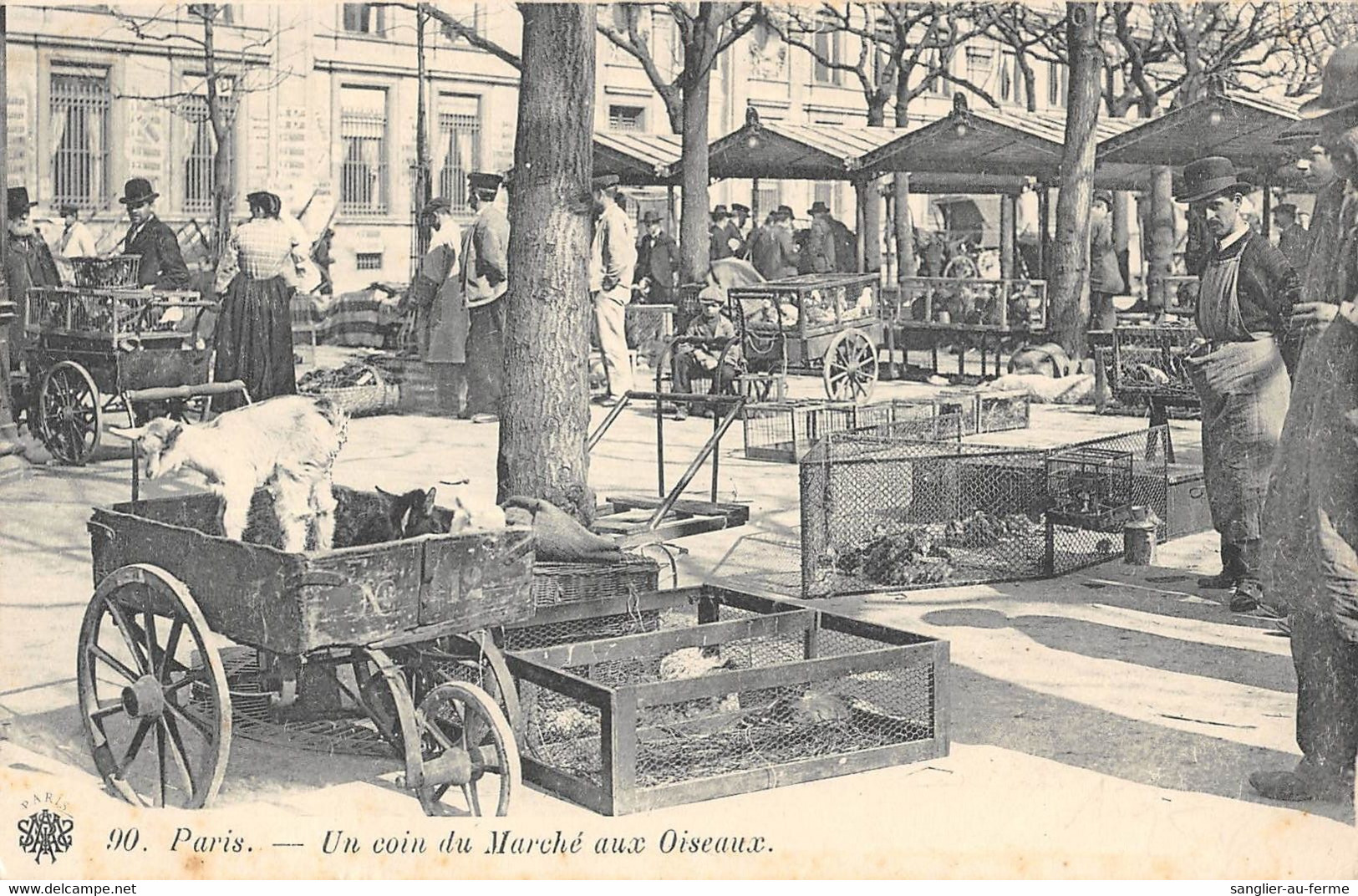 CPA 75 PARIS UN COIN DU MARCHE AUX OISEAUX - Sonstige & Ohne Zuordnung