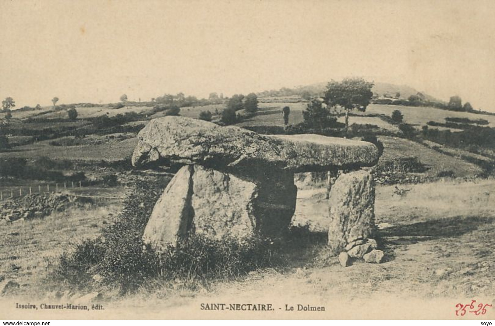 Dolmen  De St Nectaire - Dolmen & Menhire