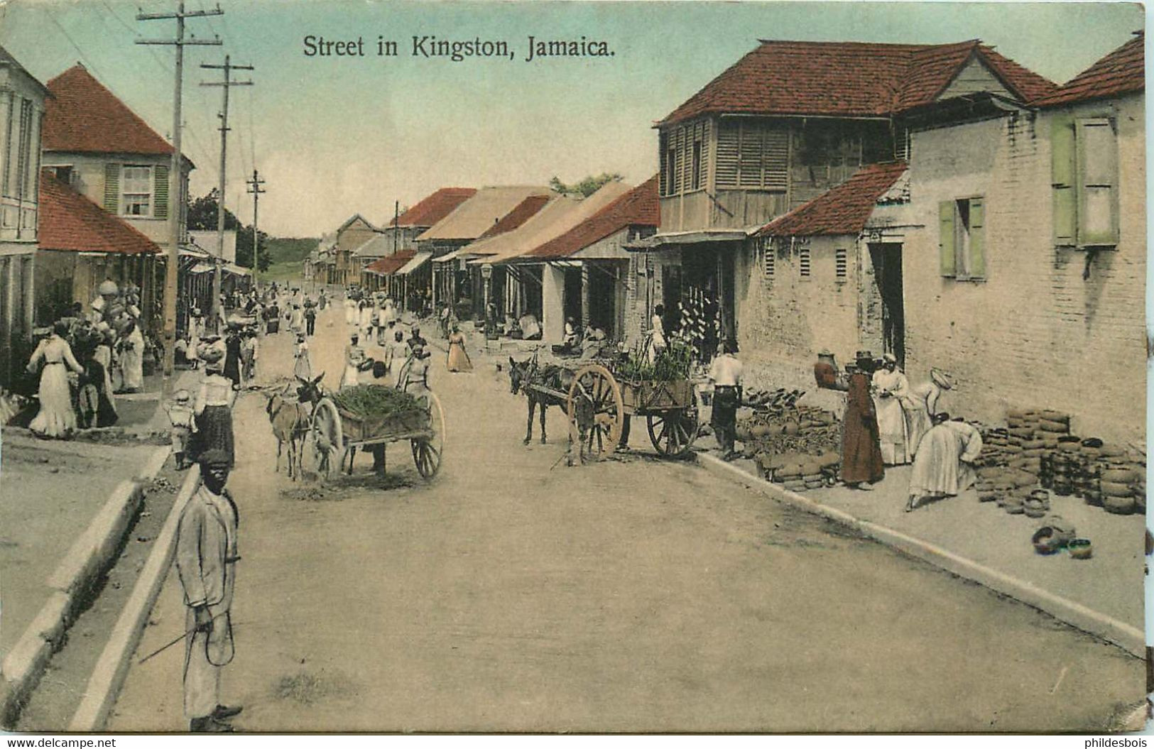 ANTILLES  JAMAÏQUE Street In Kingston - Jamaica