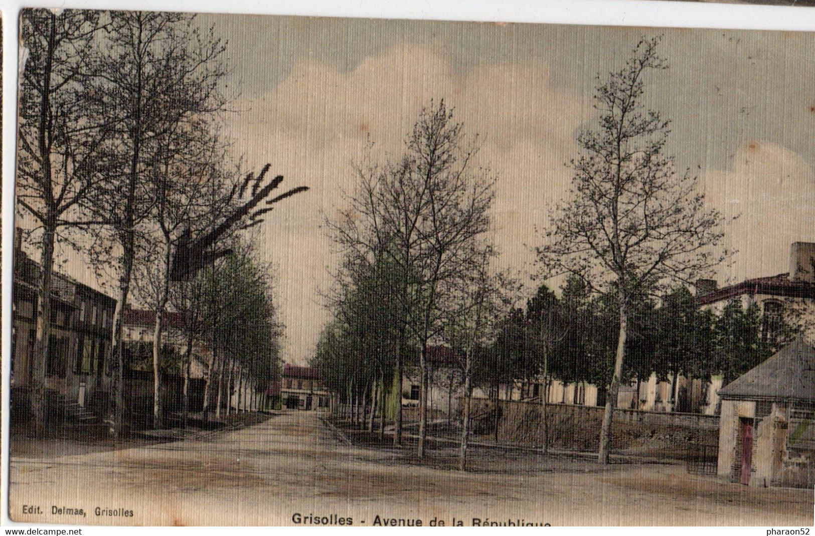 Grisolles- Avenue De La Republique -toilée - Grisolles