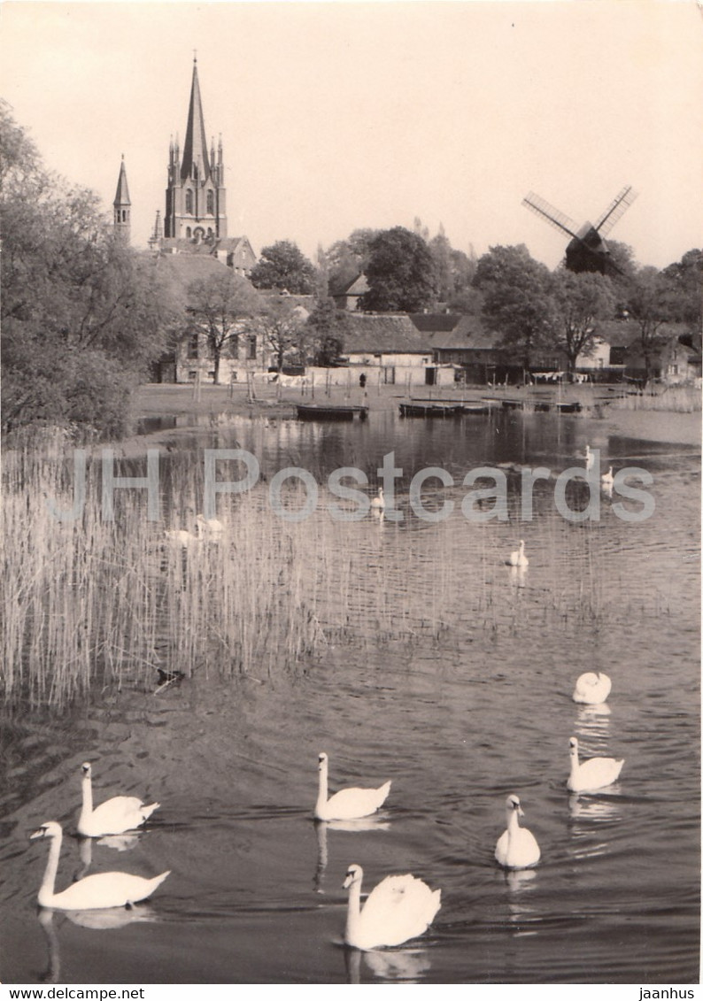 Werder - Havel - Inselansicht - Swan - Birds - Germany - Unused - Werder