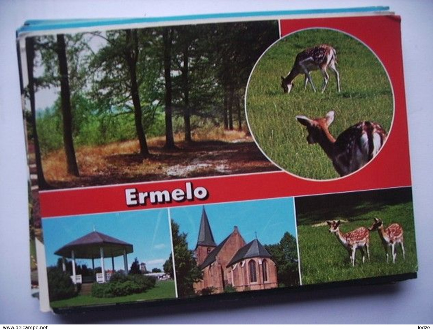 Nederland Holland Pays Bas Ermelo Met Rode Rand - Ermelo