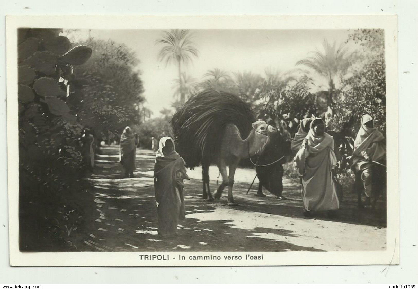 TRIPOLI - IN CAMMINO VERSO L'OASI  - NV  FP - Libye