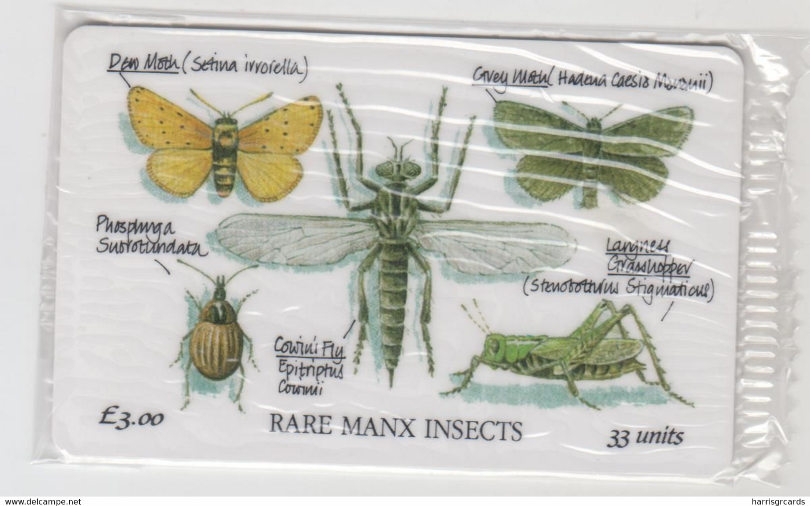 ISLE OF MAN - Manx Insects, 3 £, Tirage 10,000, Mint - Man (Isle Of)