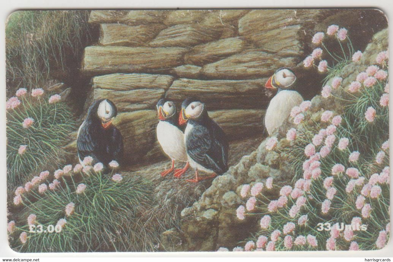 ISLE OF MAN - Puffins, 3 £, Tirage 5,000, Used - Man (Ile De)