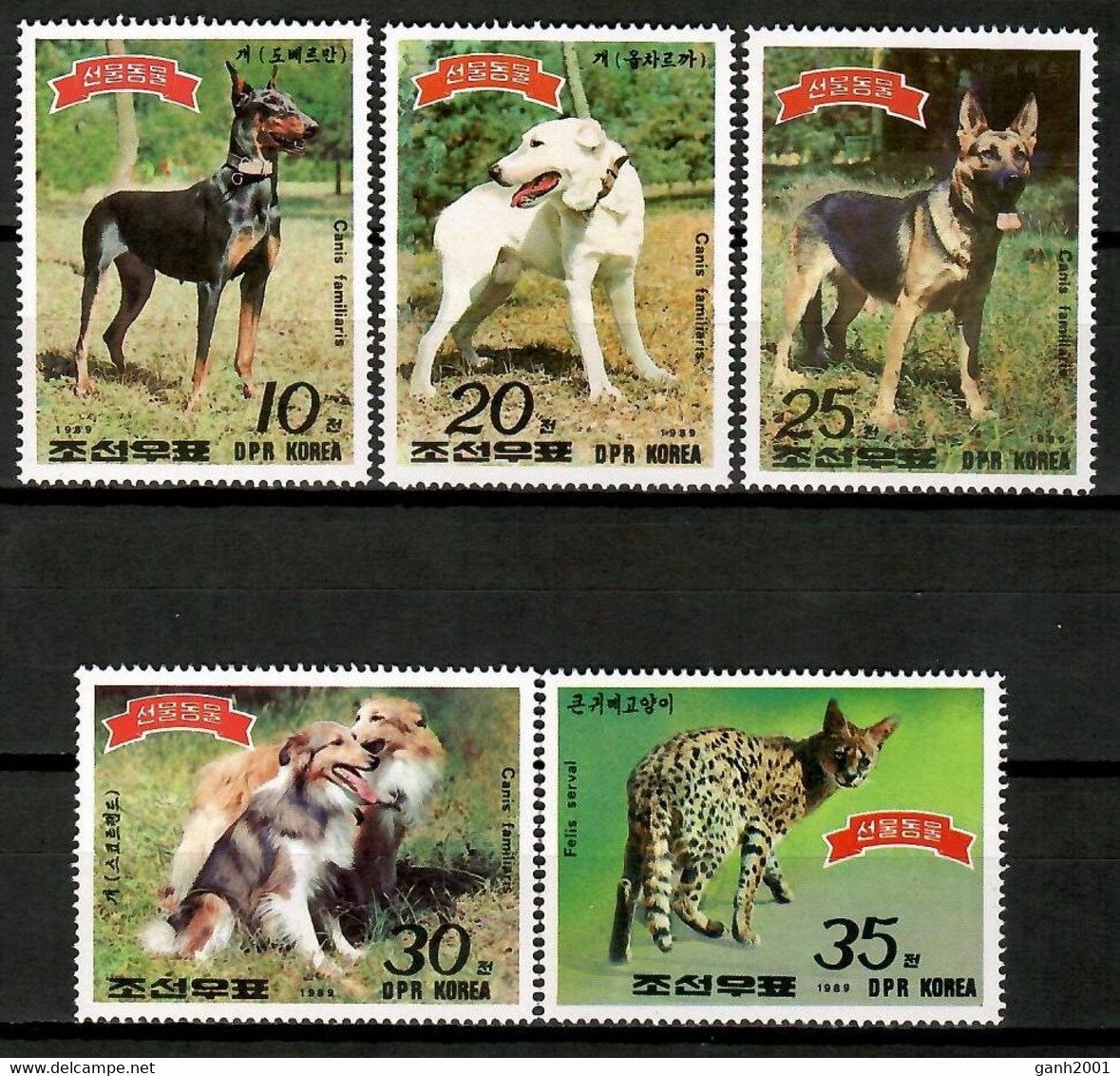 Korea N. 1989 Corea / Mammals Dogs MNH Perros Hunde Chiens / Ht50  18-11 - Dogs
