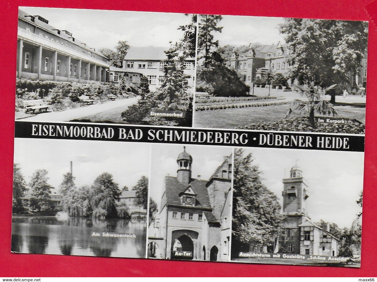 CARTOLINA NV GERMANIA - EISENMOORBAD BAD SCHMIEDEBERG - Dubener Heide - Vedutine Multivue - 10 X 15 - Bad Schmiedeberg