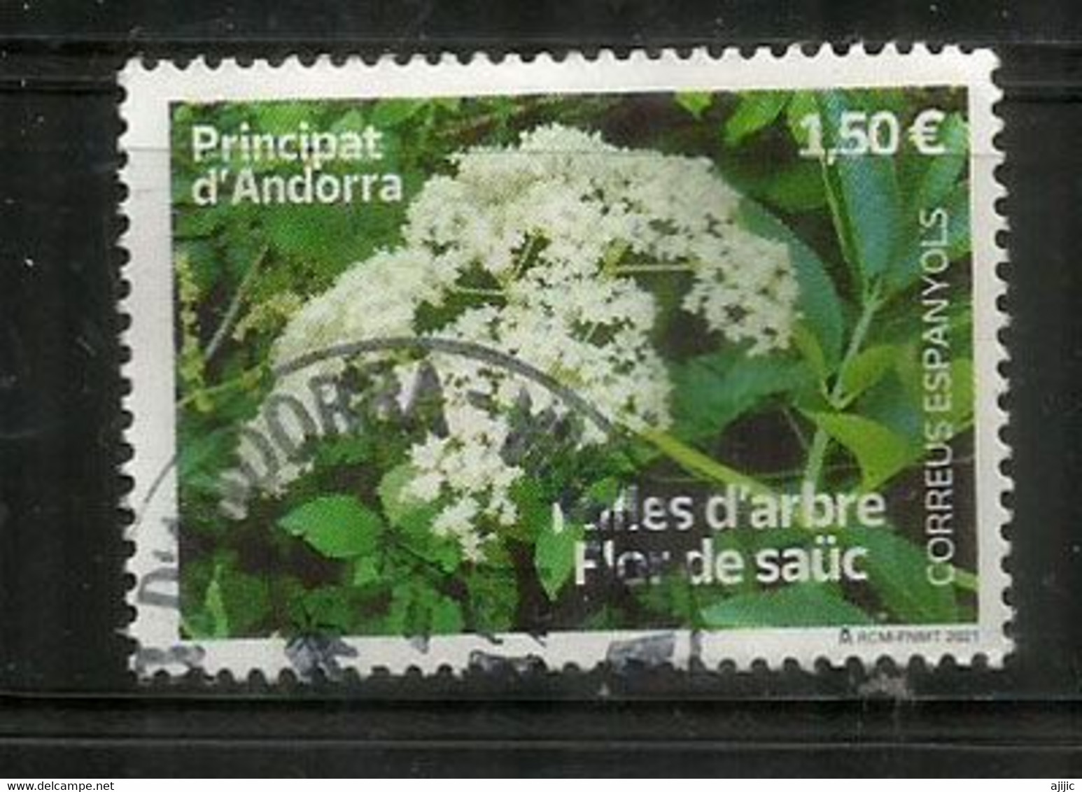 Fleur De Sureau/ Elderflower/ Flor De Saúco/2021. Oblitéré 1 ère Qualité.   Andorra Español - Oblitérés