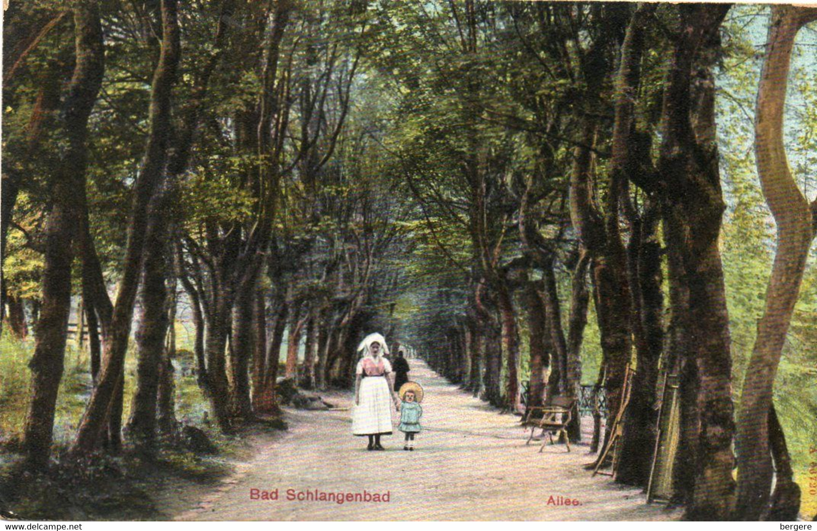 Allemagne - CPA - BAD SCHLANGENBAD  - Allée D'arbres -  1919 - Scan Du Verso - Schlangenbad