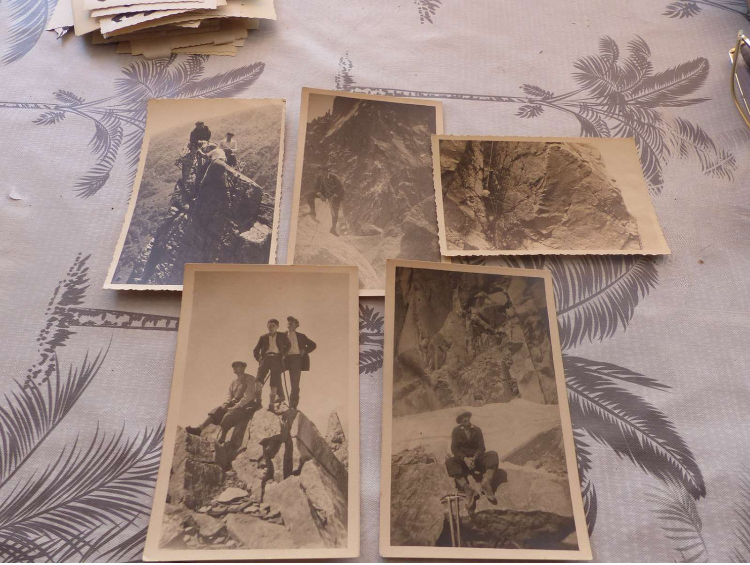 P-401 , Lot De 5 Photos Et Cartes-Photo, Alpinisme, Alpinistes , Cordée, Piolet, Sommet - Sports