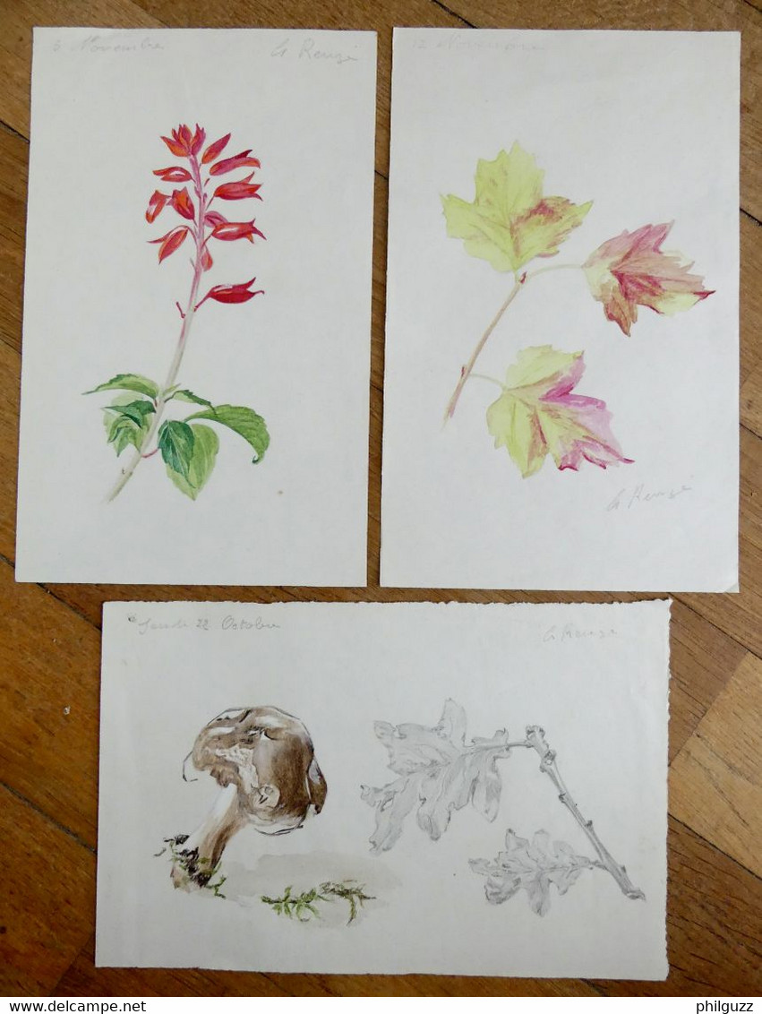 Lot 3 DESSINS ORIGINAUX Aquarelles G REUZE Signé Fleur Champignon Et Feuilles Dessin Aquarelle Dessin - Original Drawings