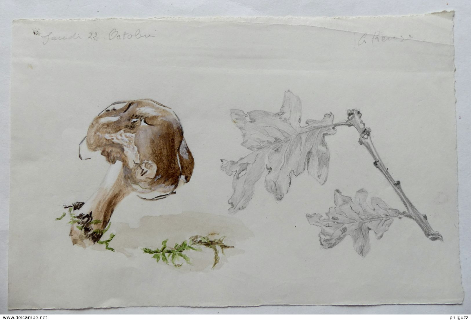 Lot 3 DESSINS ORIGINAUX Aquarelles G REUZE Signé Fleur Champignon Et Feuilles Dessin Aquarelle Dessin - Platten Und Echtzeichnungen