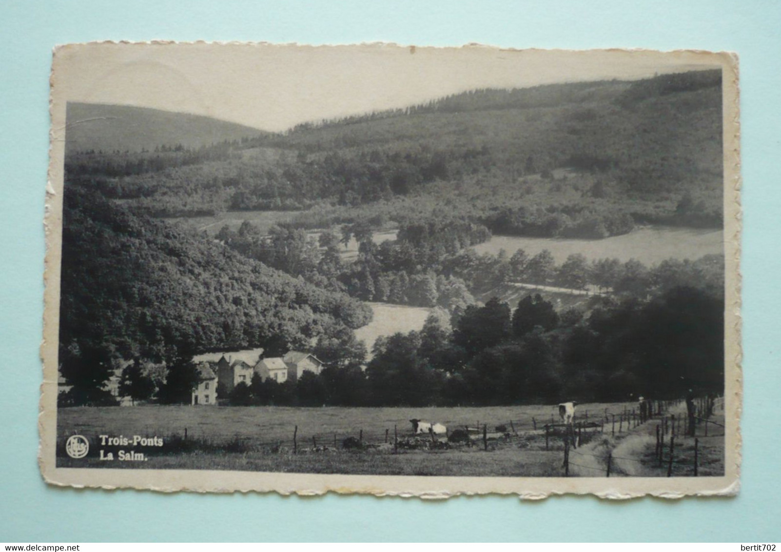 BELGIQUE - TROIS-PONTS -  LA SALM - Trois-Ponts