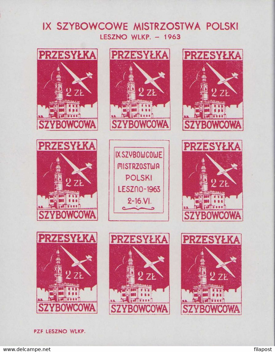 POLAND 1963 National Gliding Championships Leszno, Cindirella Airplane, Aircraft Plane, Full Sheet MNH** P71 - Essais & Réimpressions