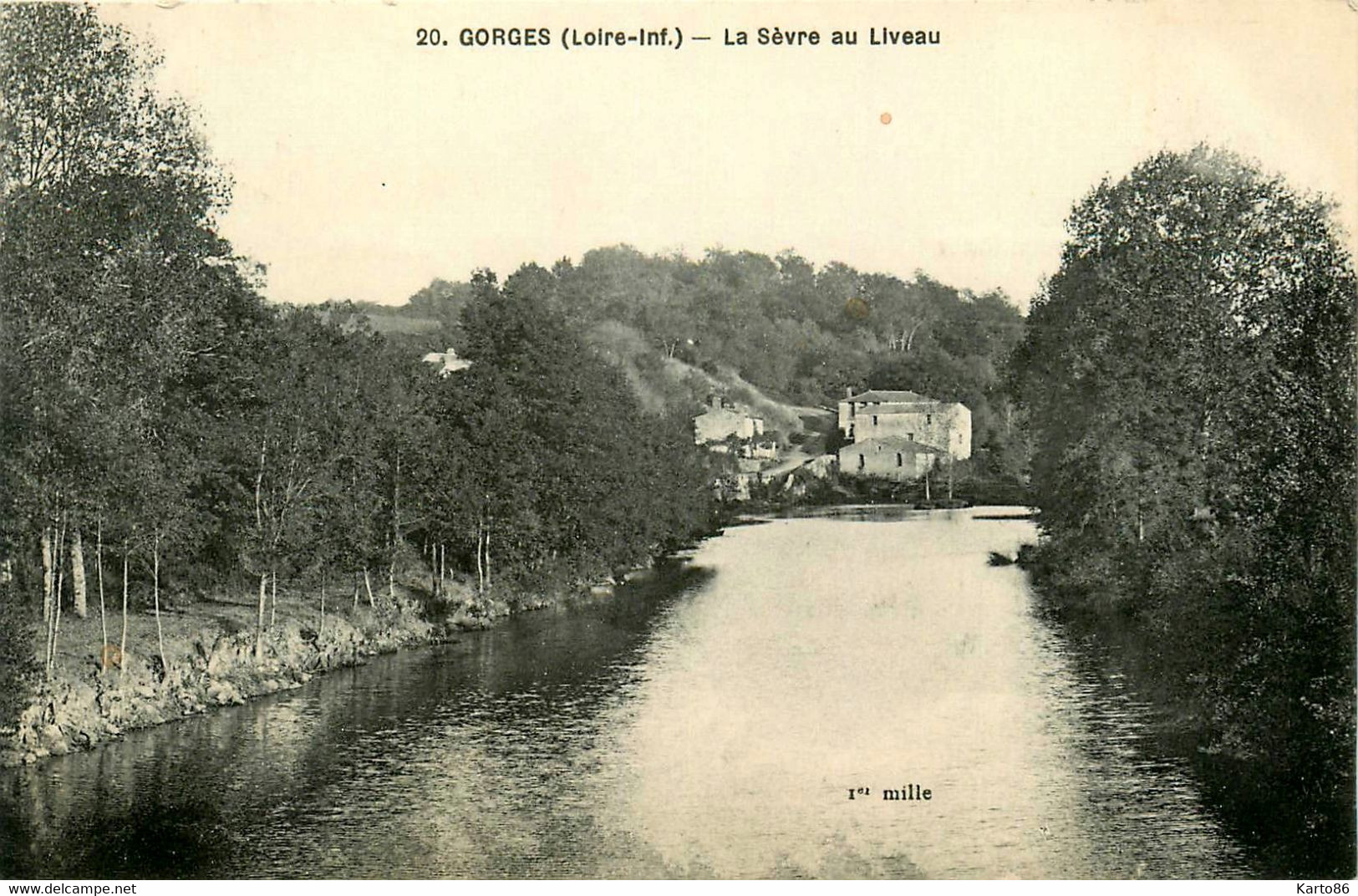 Gorges * La Sèvre Au Liveau - Gorges