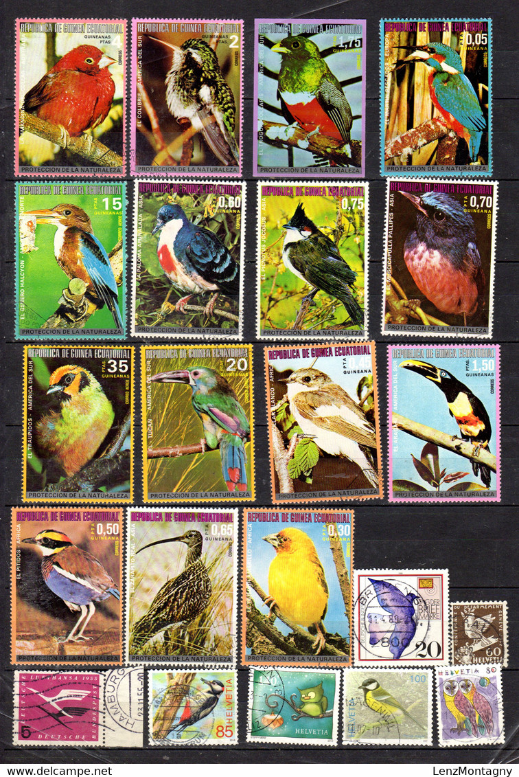 Collection Timbres Motifs Oiseaux, Selon Scan, Oblitéré, Livraison Lettre Ordinaire SANS Carton; Lot 52804 - Collections (without Album)