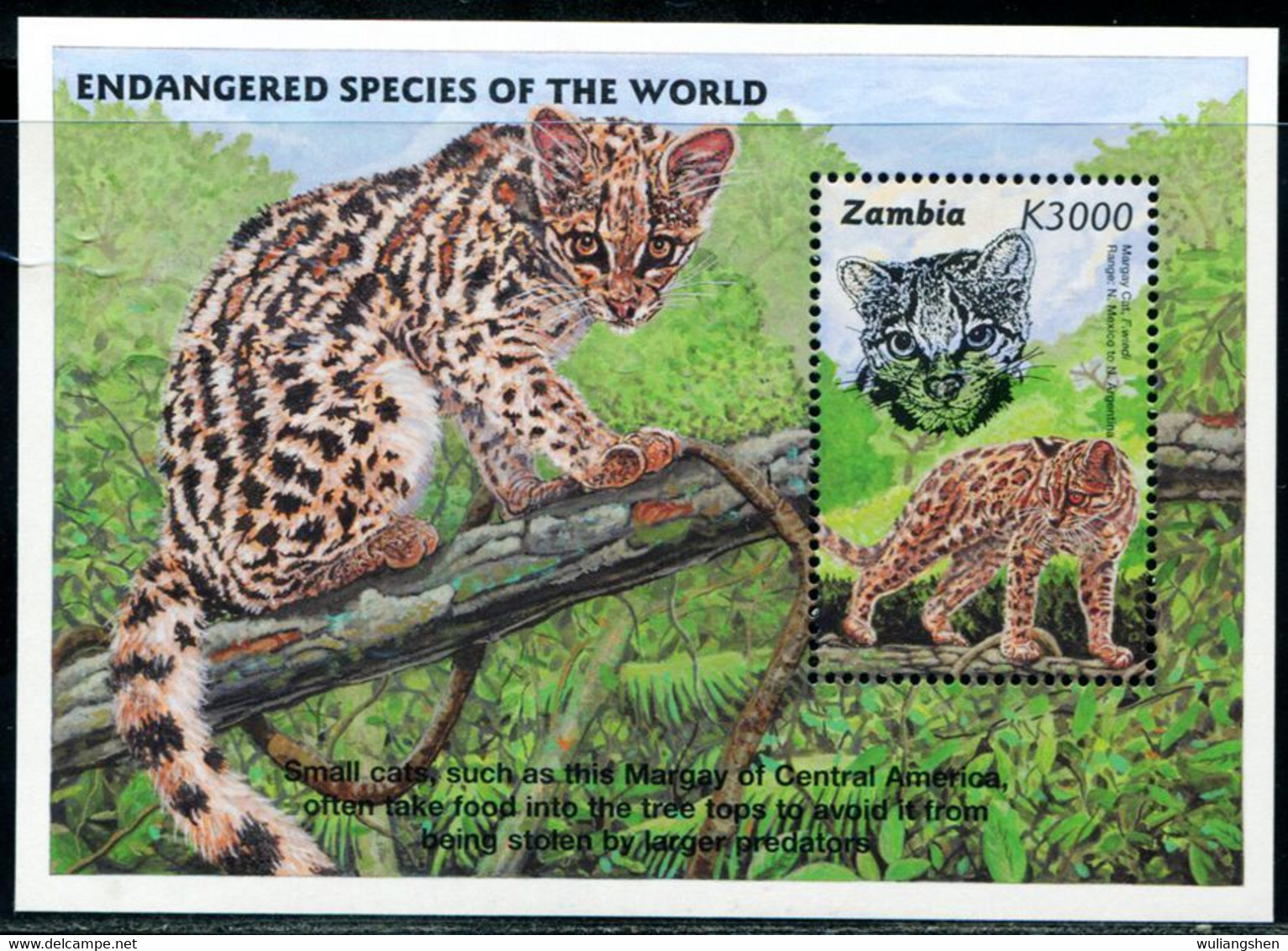 BA2514 Zambian 1997 Animal Long-tailed Tiger Cat S/S - Altri & Non Classificati