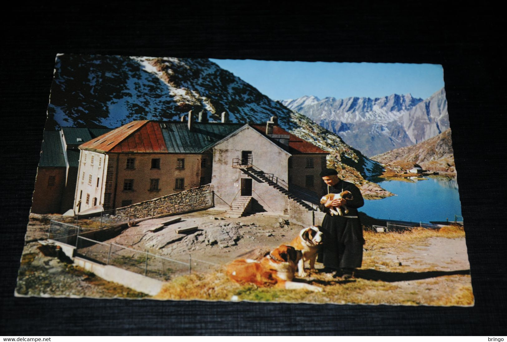 29992-                       COL DU GRAND SAINT/BERNARD, MOINE ET CHIENS DE L'HOSPICE - Other & Unclassified