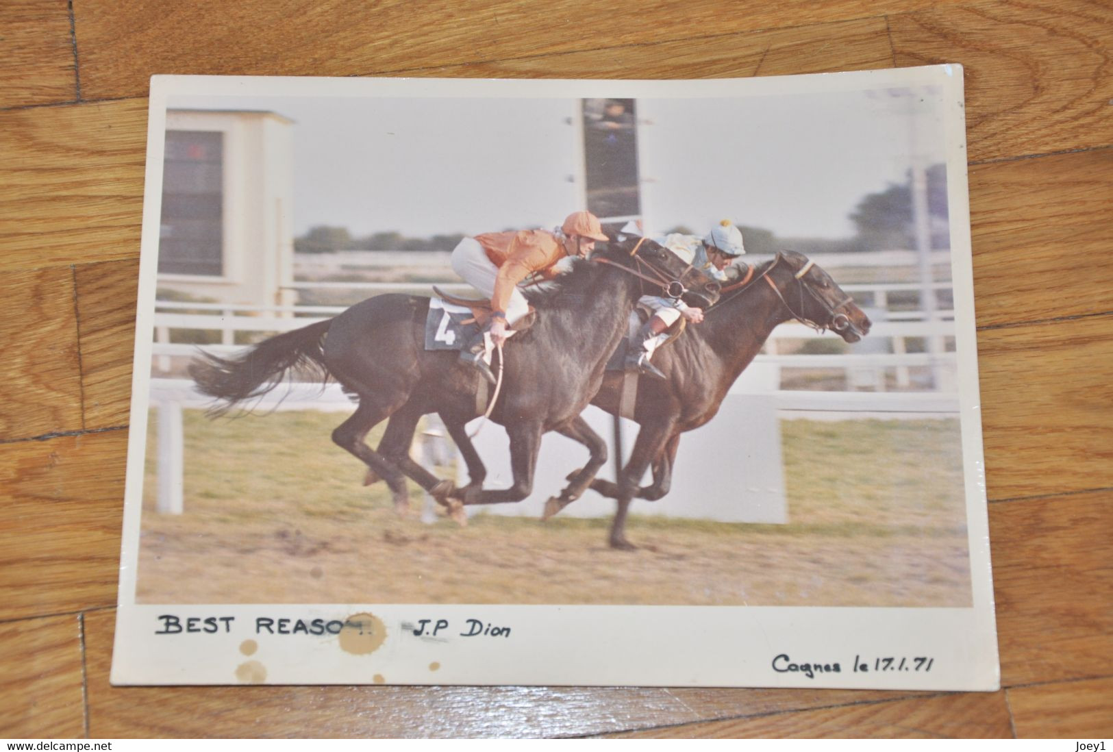 Photo Course De Chevaux,Cagnes Sur Mer 1971,Best Reason, JP Dion, Format 18/24 - Sporten