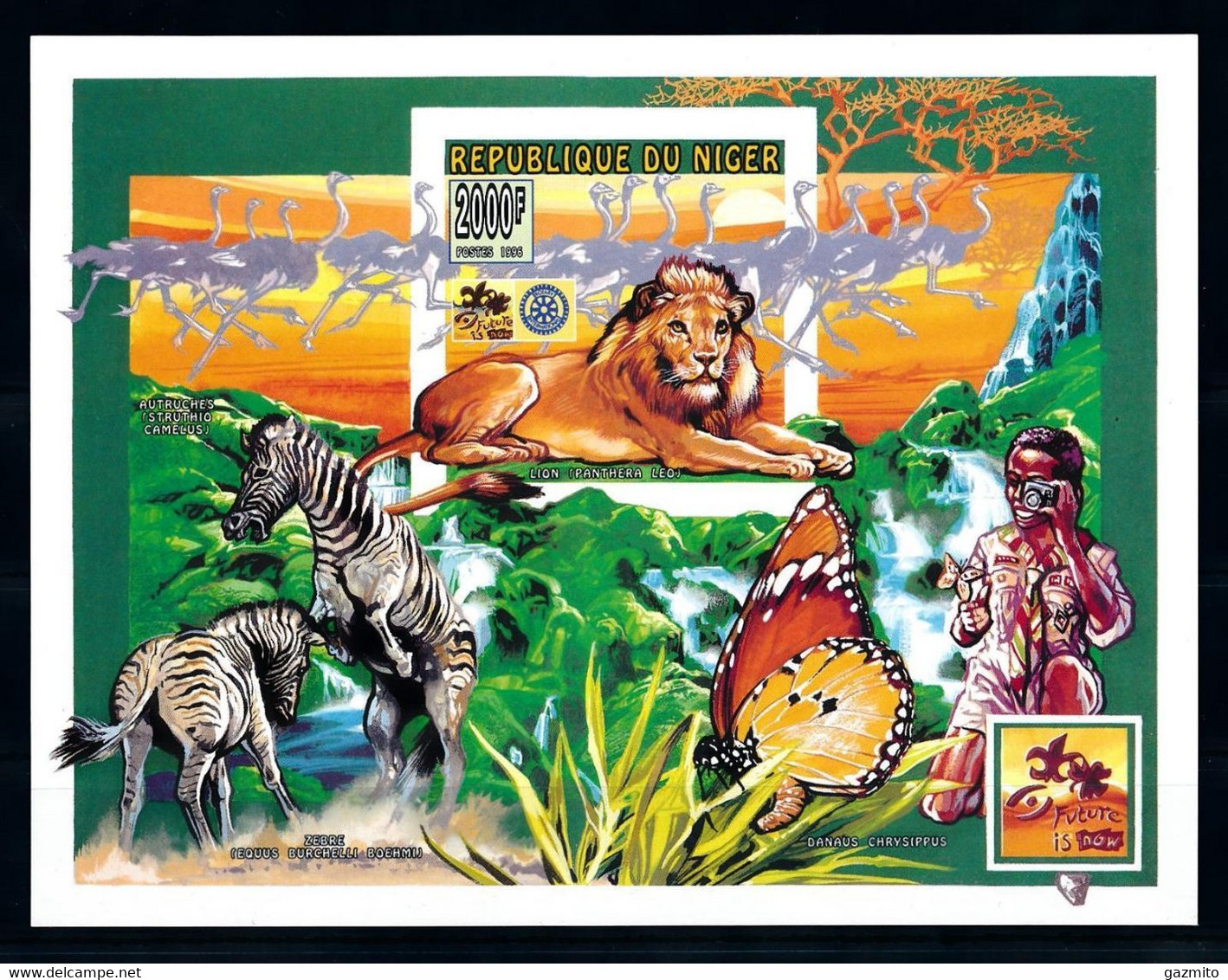 Niger 1996, Scout, Butterfly, Lion, Zebra, Ostric, Camera, IMPERFORATED BF - Struzzi