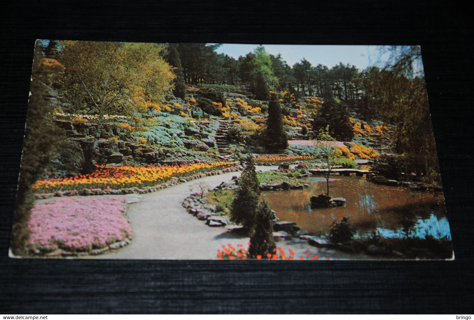 29998-           CANADA, ONTARIO, HAMILTON, THE FAMOUS ROCK GARDENS - Hamilton