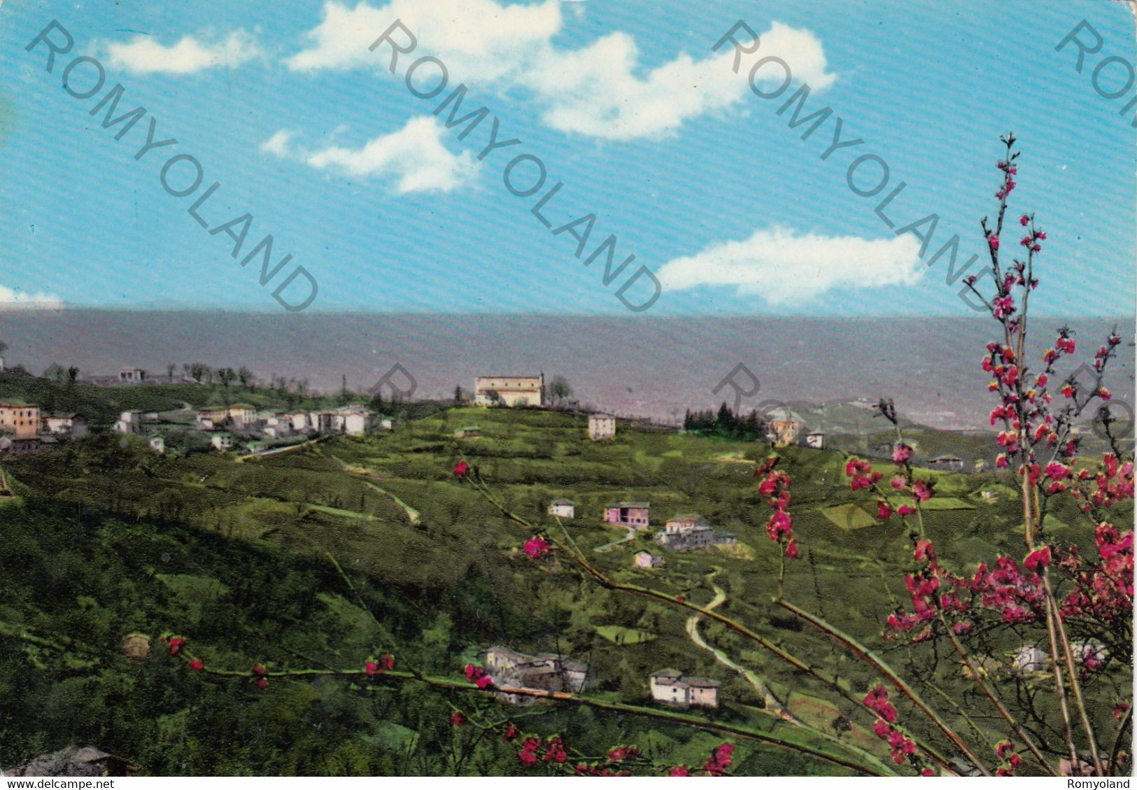 CARTOLINA  LIGORZANO M.775,EMILIA ROMAGNA,STAZIONE CLIMATICA-PANORAMA,RELIGIONE,MEMORIA,BELLA ITALIA,VIAGGIATA 1961 - Carpi