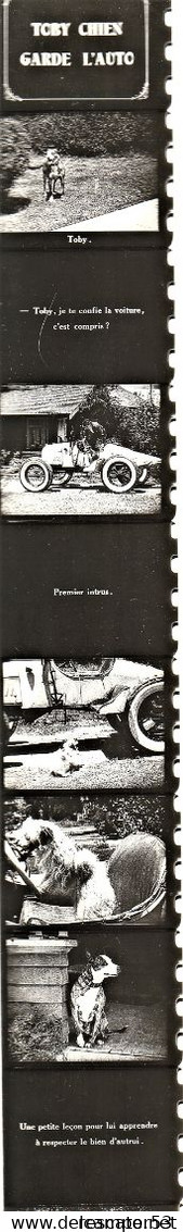 Film Fixe Années 20 Toby Chien Garde L'auto Pathéorama - Pellicole Cinematografiche: 35mm-16mm-9,5+8+S8mm