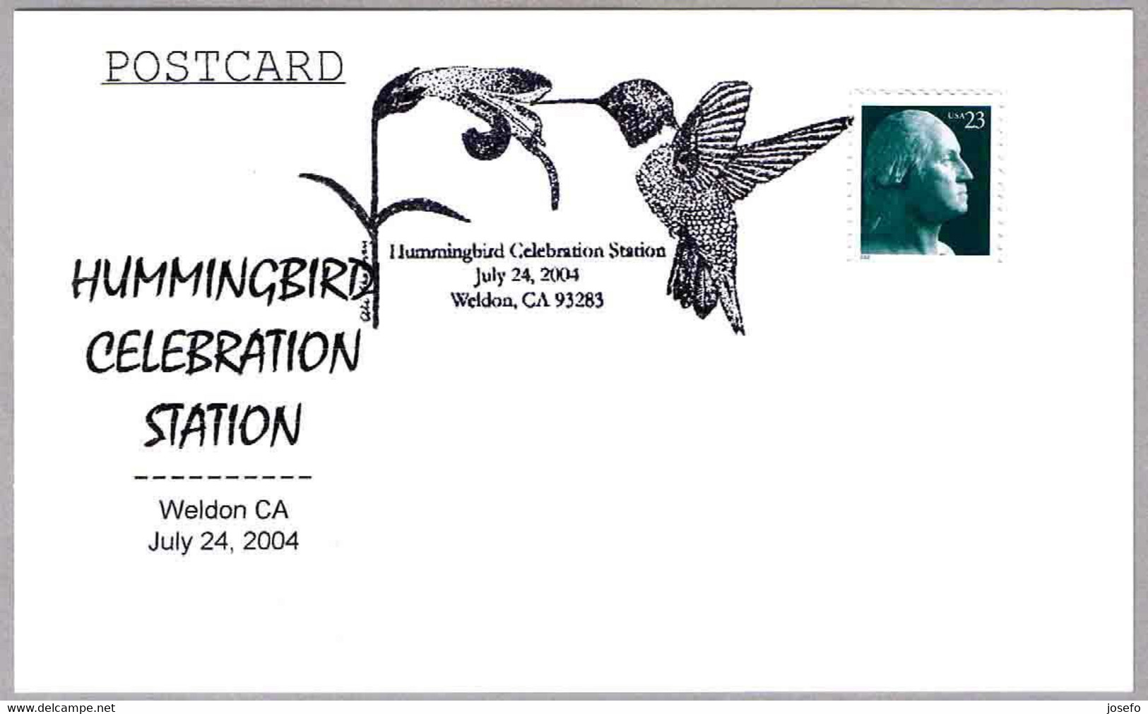 COLIBRI - HUMMINGBIRD. Weldon CA 2004 - Segler & Kolibris