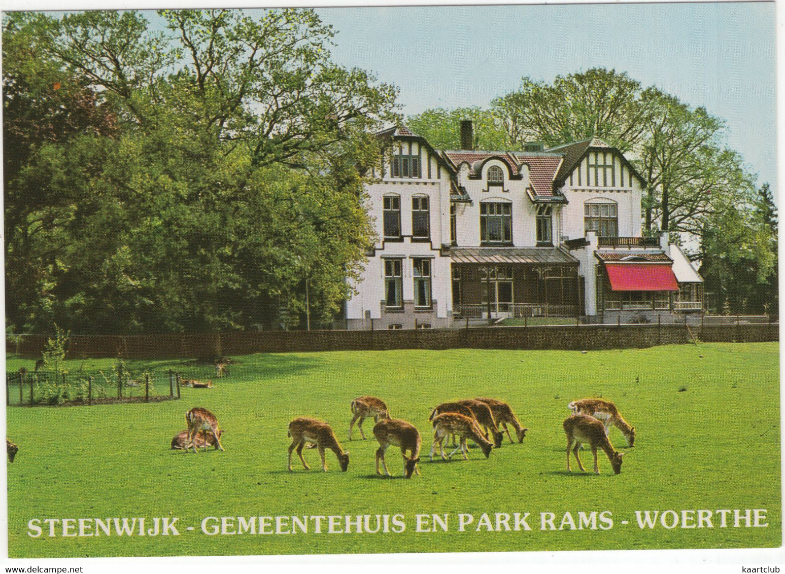 Steenwijk - Gemeentehuis En Park Rams - Woerthe  - (Ov., Nederland)  - Ree/Hert - Steenwijk