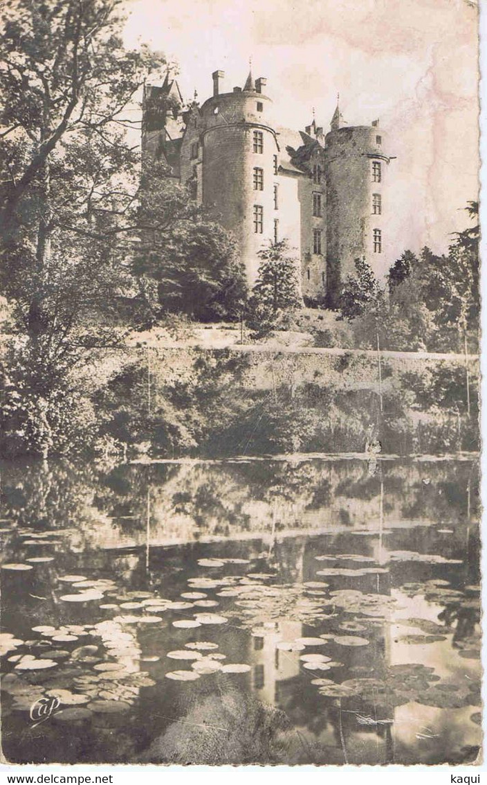 MAINE Et LOIRE - MONTREUIL-BELLAY - Les Bords Du Thouet Et Le Château - Castelli