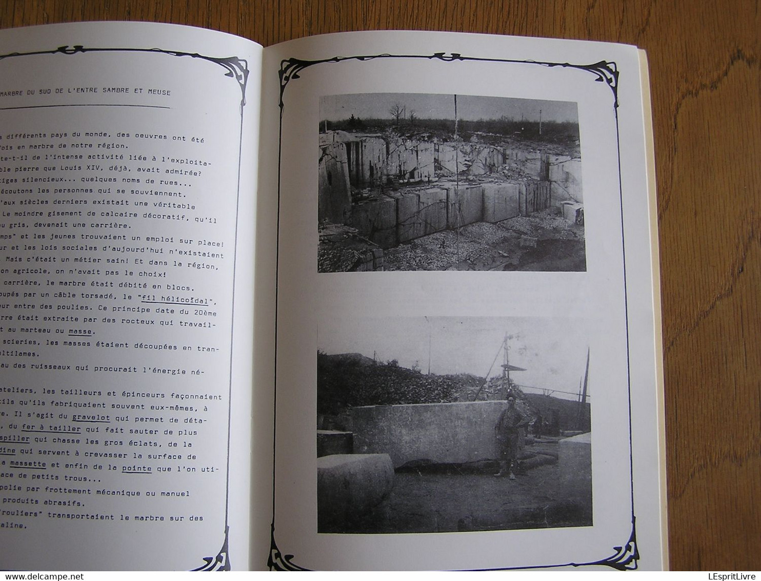 L' ARTISAN ET SON TERROIR Régionalisme Carrière Marbre Charbon de Bois Sabotier Faudreux Agriculteur Eglise Gimnée