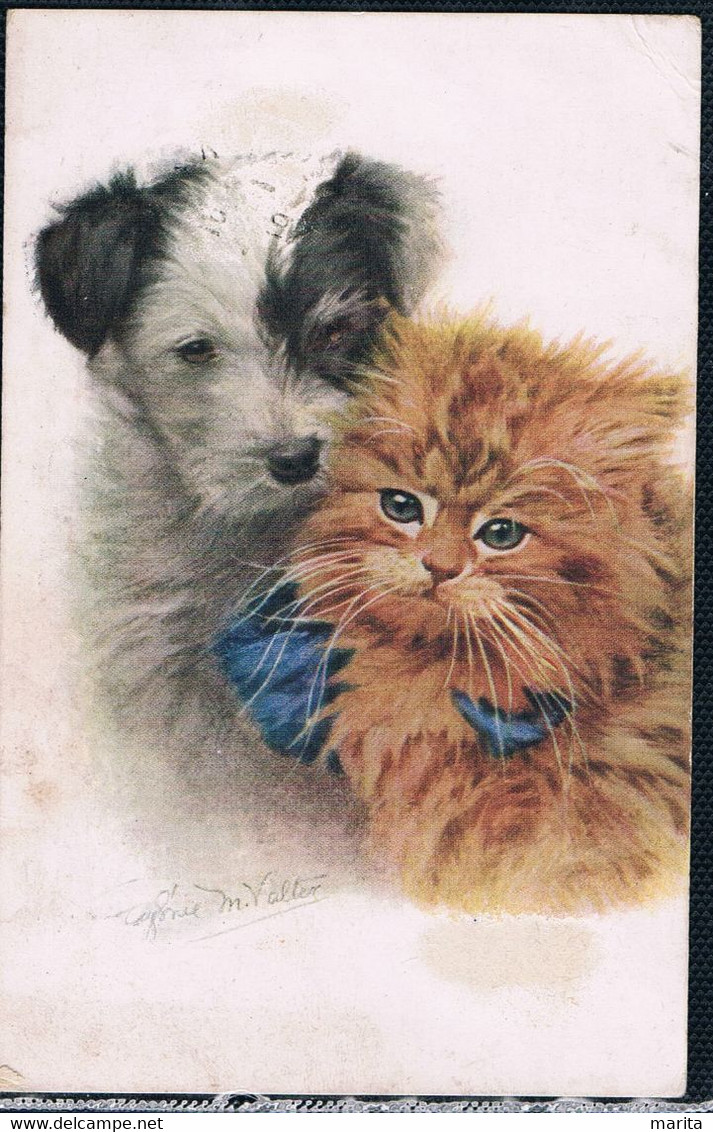 Chat Et Chien  -cat Dog-rost Poesje En Hond -katzen Hunde - Cats