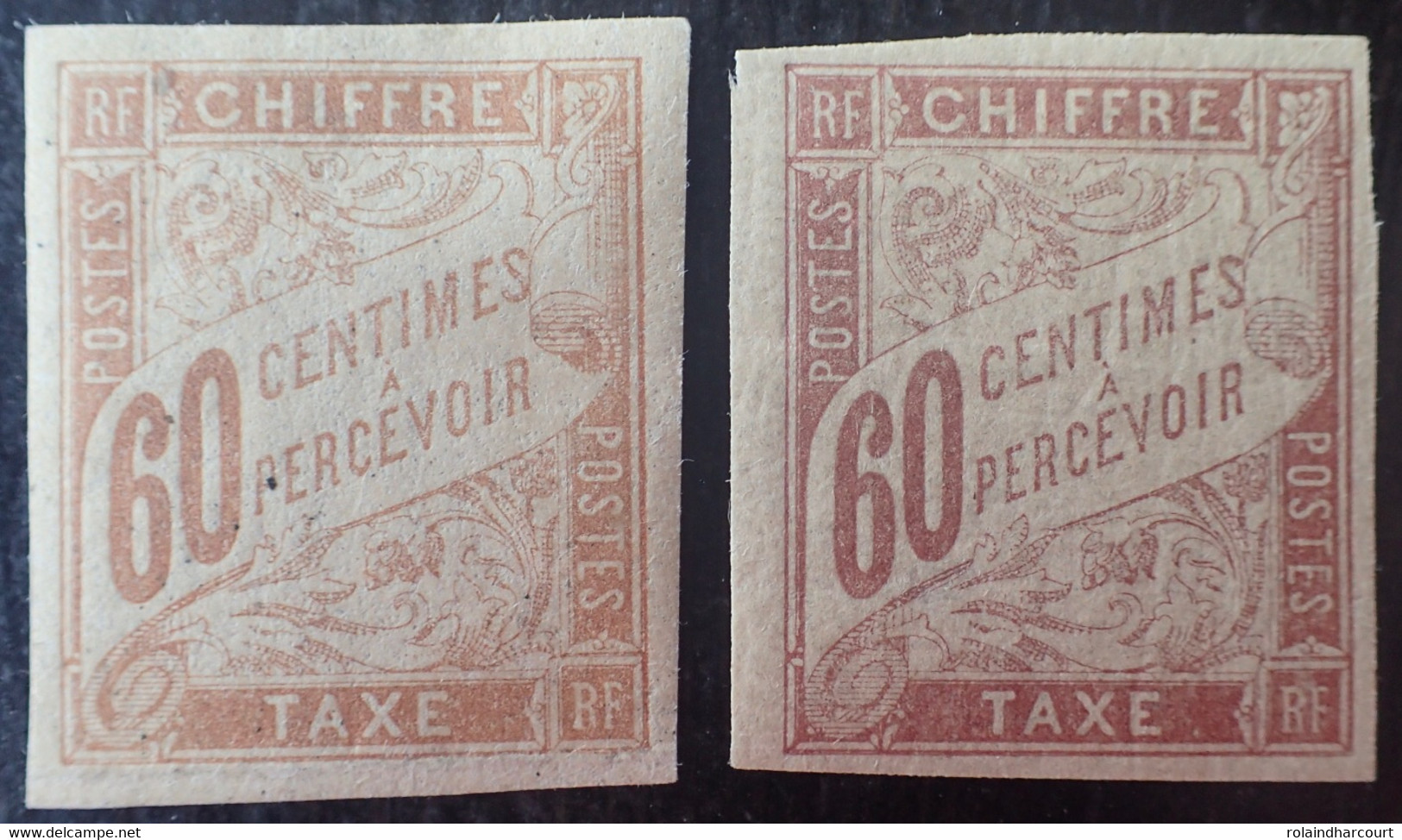 R2269/10 - 1893/1908 - COLONIES FR. - TIMBRES-TAXE - N°24 Brun-jaunâtre NEUF*/(*) + N°24a Brun Violacé NEUF* - Postage Due