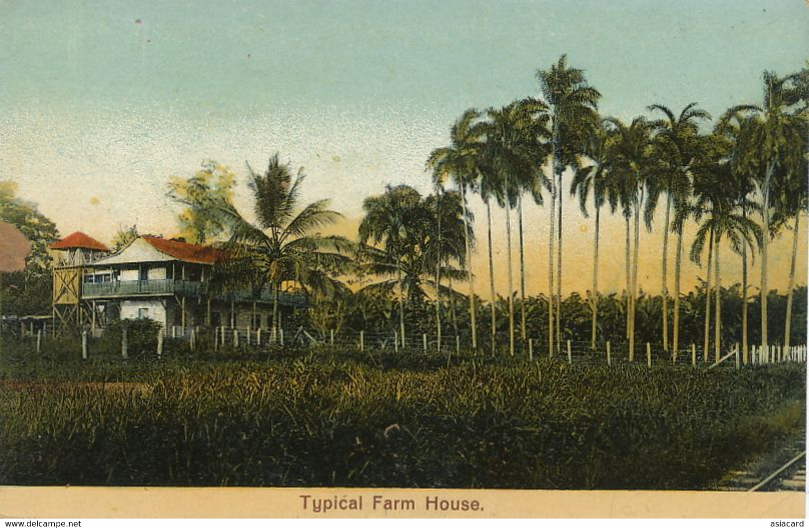 Typical Farm House  Hand Colored - Costa Rica