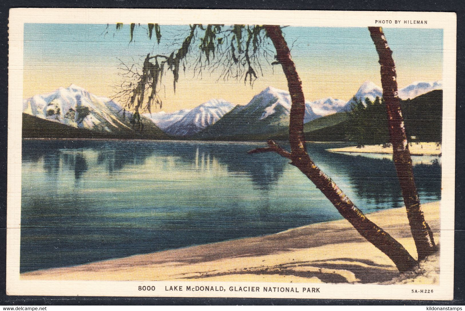 USA Postcard, Postmark Jun 25, 1936 - Briefe U. Dokumente
