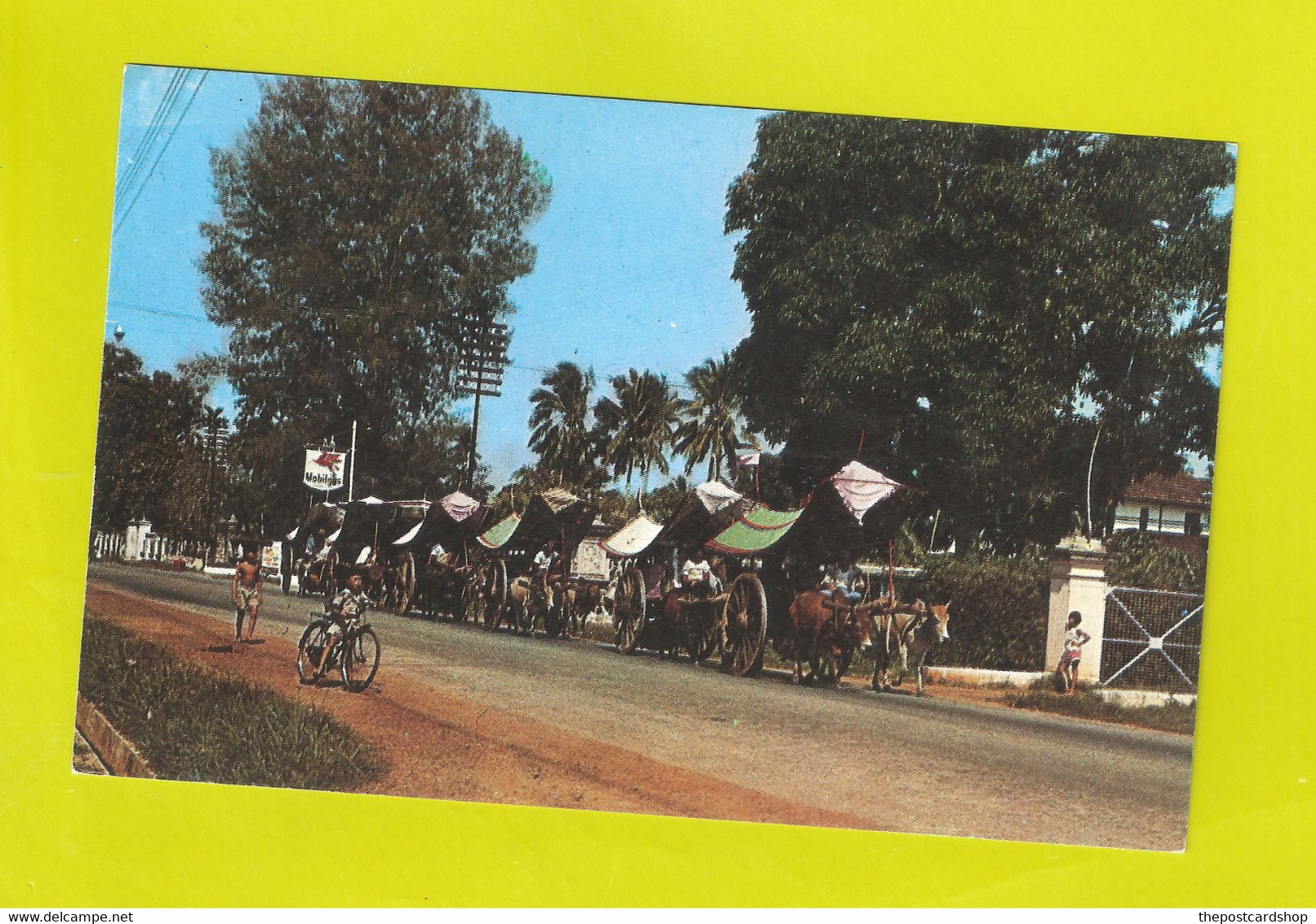 Malacca Malaysia Bullock Carts Singapore - Malaysia