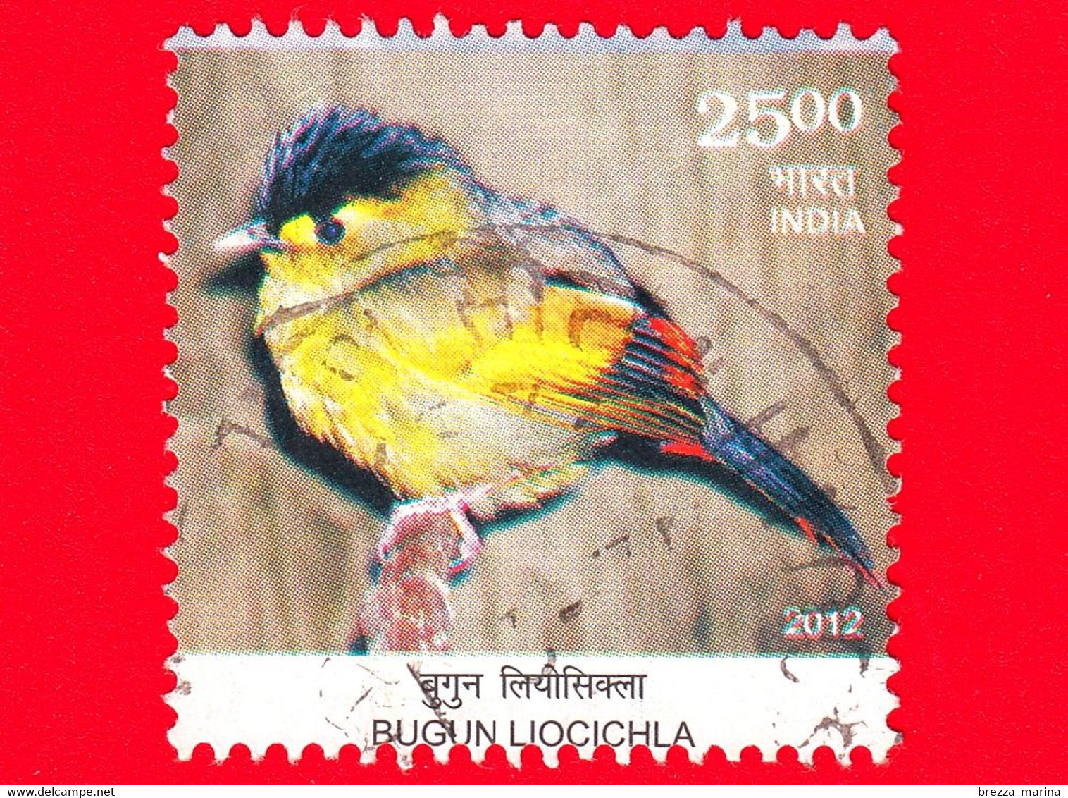 INDIA - Usato - 2012 - Uccelli - Birds - Liocichla Bugunorum - La Liocicla Dei Bugun - 25.00 - Gebruikt