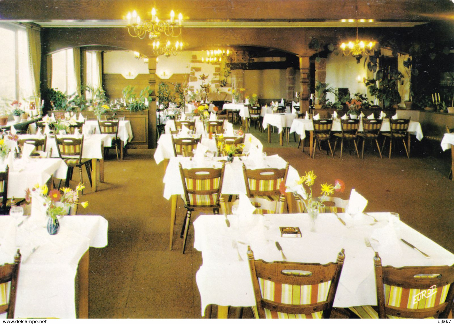 67 Hotel Restaurant Lion D'Or La Petite Pierre Wingen Sur Moder (Carte Vierge) - Autres & Non Classés